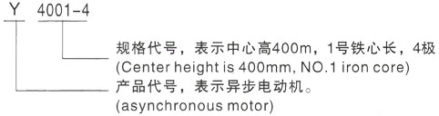 西安泰富西玛Y系列(H355-1000)高压Y5006-4/1000KW三相异步电机型号说明