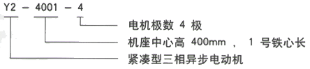 YR系列(H355-1000)高压Y5006-4/1000KW三相异步电机西安西玛电机型号说明